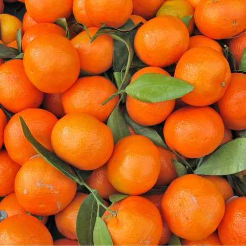 Fresh Soft Citrus (±1kg)